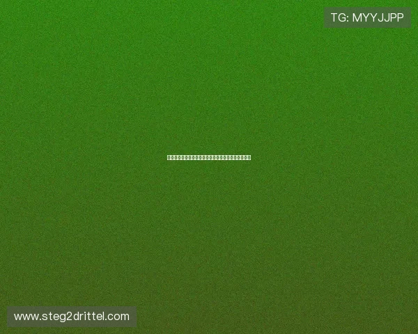 巴西队与海地队的世界杯比赛时间安排及赛程详细介绍